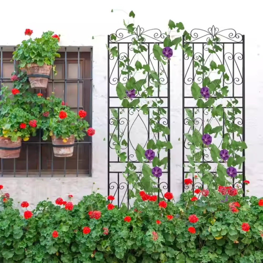 6 Panel Garden Border Trellis for Climbing Plants